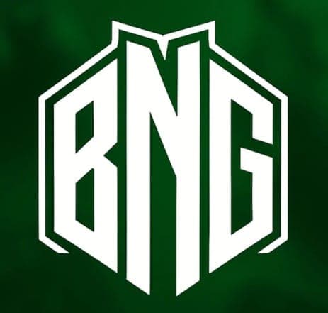 BNG Esports logo